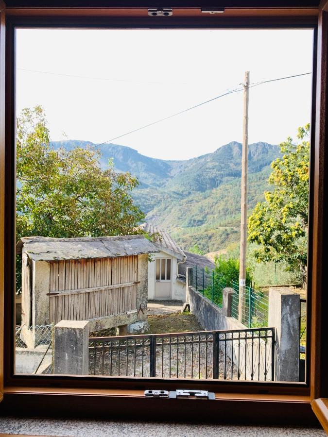 "Casa Do Avo Armindo" Mountain Experience Βίλα Vila Real Εξωτερικό φωτογραφία